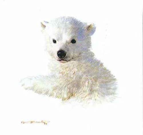 (image for) Handmade Oil painting for home canvas, oil painting framed canvas for living room Carl Brenders paintings Polar Bear Cub Study - Click Image to Close